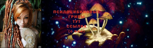 jwh Володарск