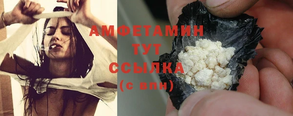 mdpv Вяземский
