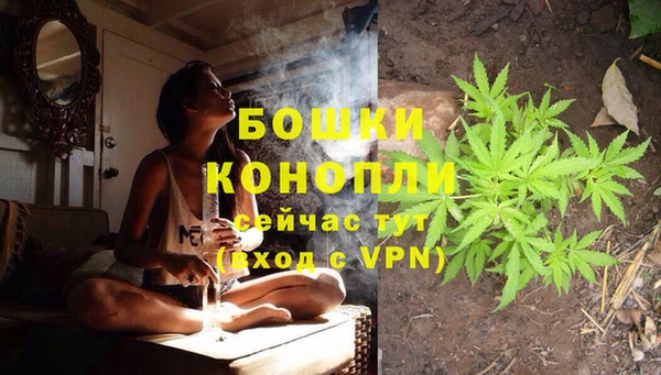 mdpv Вяземский